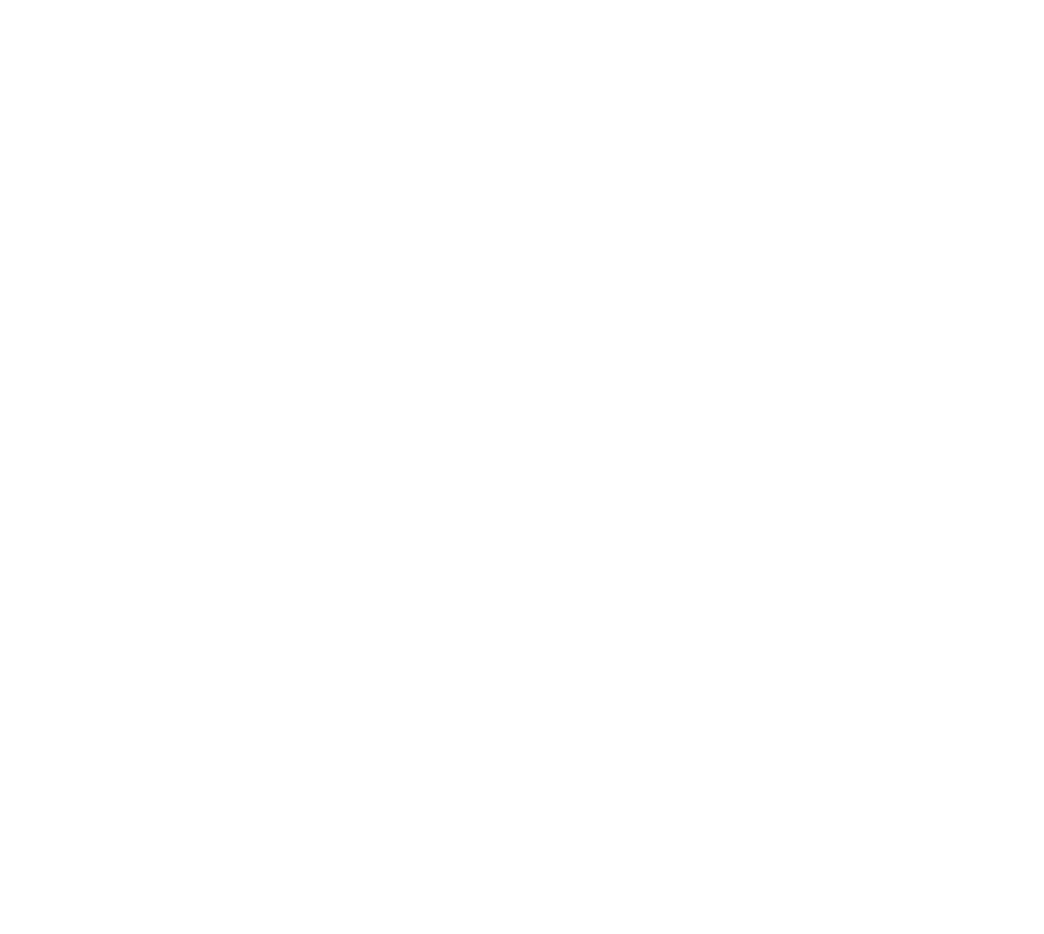 Multiplicity Solutions